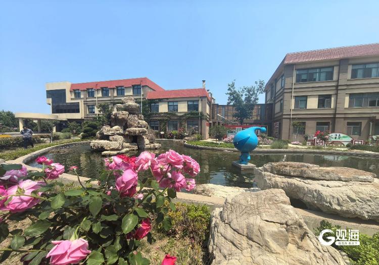 进化、消失、重生！青岛用“看不见”的污水厂打开“地下净水、地